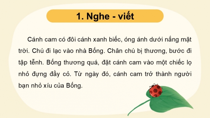 Giáo án điện tử Tiếng Việt 2 kết nối Bài 16: Nghe – viết Tạm biệt cánh cam, Phân biệt oanh/oach, s/x, dấu hỏi/dấu ngã