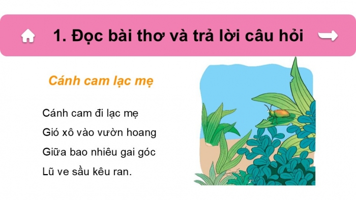 Giáo án điện tử Tiếng Việt 2 kết nối Ôn tập giữa học kì 2 (Tiết 3 + 4)