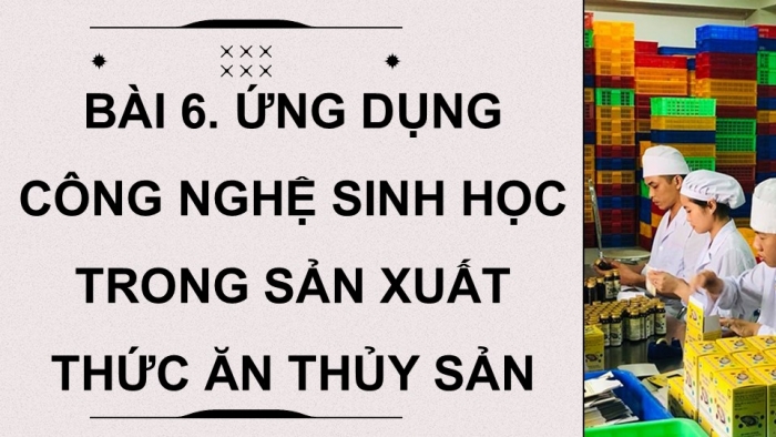 Giáo án điện tử chuyên đề Công nghệ 12 Lâm nghiệp Thuỷ sản Cánh diều Bài 6: Ứng dụng công nghệ sinh học trong sản xuất thức ăn thuỷ sản