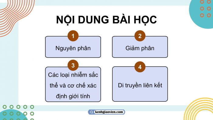 Giáo án điện tử KHTN 9 chân trời - Phân môn Sinh học Bài 43: Di truyền nhiễm sắc thể