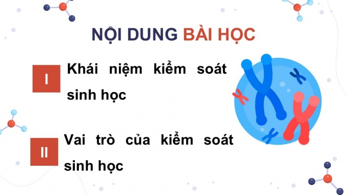 Giáo án điện tử chuyên đề Sinh học 12 chân trời Bài 5: Khái quát về kiểm soát sinh học