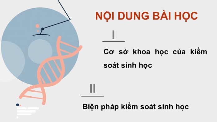 Giáo án điện tử chuyên đề Sinh học 12 chân trời Bài 6: Cơ sở khoa học và các biện pháp kiểm soát sinh học