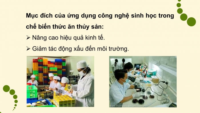 Giáo án điện tử Công nghệ 12 Lâm nghiệp - Thủy sản Kết nối Bài 18: Ứng dụng công nghệ sinh học trong bảo quản, chế biến thức ăn thủy sản