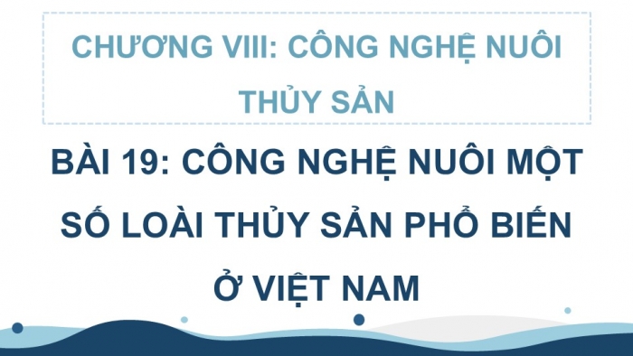 Giáo án điện tử Công nghệ 12 Lâm nghiệp - Thủy sản Kết nối Bài 19: Công nghệ nuôi một số loài thủy sản phổ biến ở Việt Nam