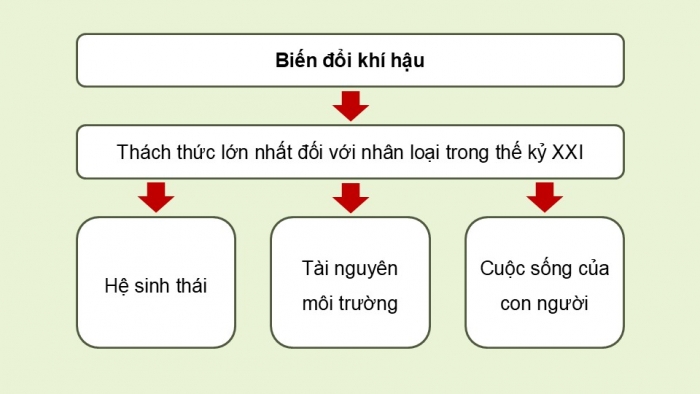 Giáo án điện tử Ngữ văn 9 chân trời Bài 6: Bài phát biểu của Tổng Thư kí Liên hợp quốc về biến đổi khí hậu (An-tô-ni-ô Gu-tê-rét)