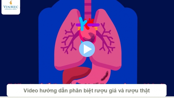 Giáo án điện tử KHTN 9 chân trời - Phân môn Hoá học Bài Ôn tập chủ đề 8