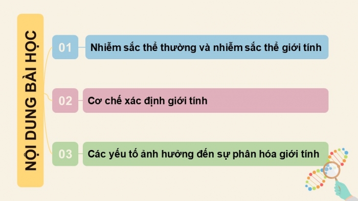 Giáo án điện tử KHTN 9 kết nối - Phân môn Sinh học Bài 44: Nhiễm sắc thể giới tính và cơ chế các định giới tính