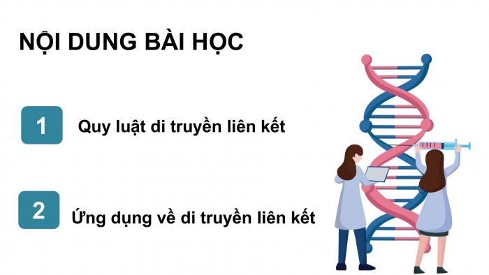 Giáo án điện tử KHTN 9 kết nối - Phân môn Sinh học Bài 45: Di truyền liên kết