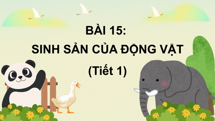 Giáo án điện tử Khoa học 5 kết nối Bài 15: Sinh sản của động vật