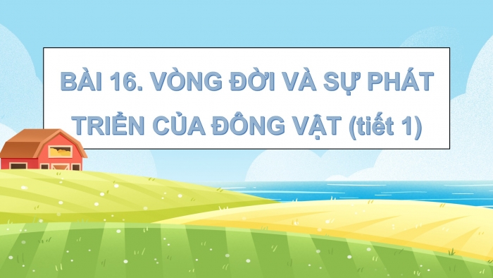 Giáo án điện tử Khoa học 5 kết nối Bài 16: Vòng đời và sự phát triển của động vật