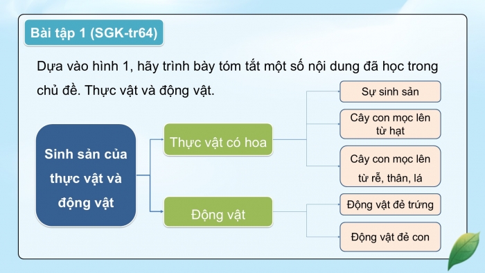 Giáo án điện tử Khoa học 5 kết nối Bài 17: Ôn tập chủ đề Thực vật và động vật