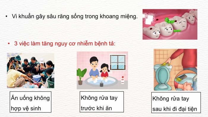 Giáo án điện tử Khoa học 5 kết nối Bài 21: Ôn tập chủ đề Vi khuẩn