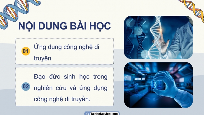 Giáo án điện tử KHTN 9 cánh diều - Phân môn Sinh học Bài 41: Ứng dụng công nghệ di truyền vào đời sống