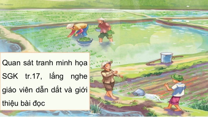 Giáo án điện tử Tiếng Việt 5 kết nối Bài 3: Hạt gạo làng ta