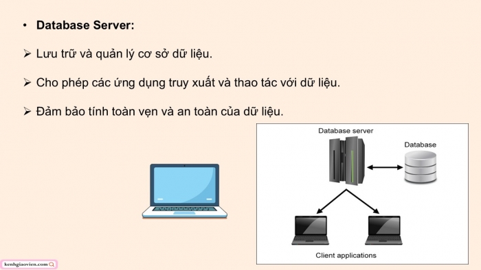 Giáo án điện tử Khoa học máy tính 12 kết nối Bài 22: Tìm hiểu thiết bị mạng