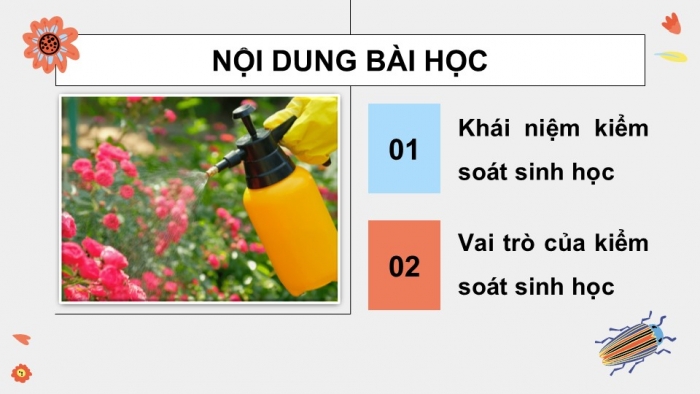 Giáo án điện tử chuyên đề Sinh học 12 cánh diều Bài 5: Khái niệm và vai trò của kiểm soát sinh học