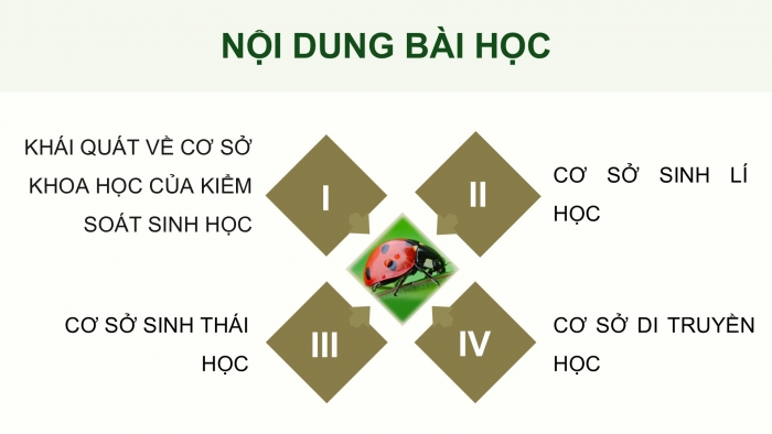 Giáo án điện tử chuyên đề Sinh học 12 cánh diều Bài 6: Cơ sở của kiểm soát sinh học