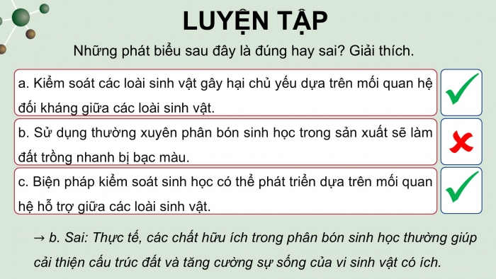 Giáo án điện tử chuyên đề Sinh học 12 cánh diều Ôn tập CĐ 2