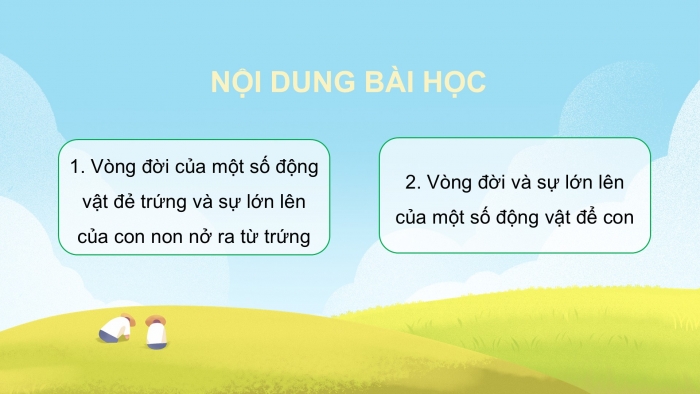 Giáo án điện tử Khoa học 5 chân trời Bài 16: Sự lớn lên và phát triển của động vật