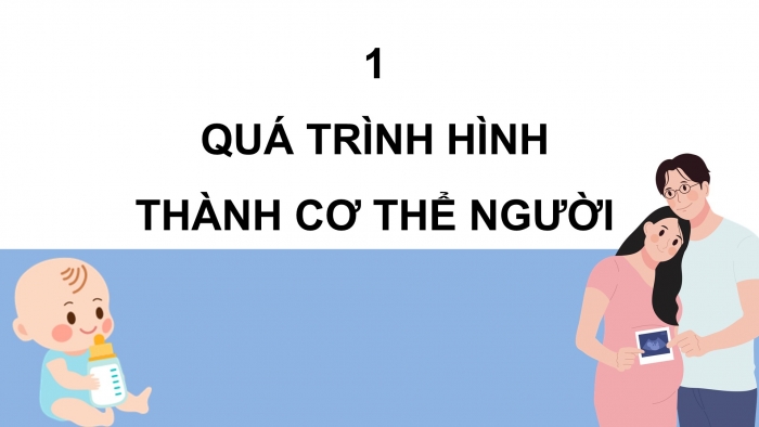 Giáo án điện tử Khoa học 5 chân trời Bài 23: Sự sinh sản ở người