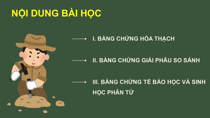 Giáo án điện tử Sinh học 12 kết nối Bài 19: Các bằng chứng tiến hoá