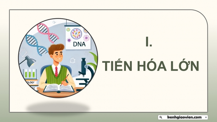 Giáo án điện tử Sinh học 12 kết nối Bài 22: Tiến hoá lớn và quá trình phát sinh chủng loại