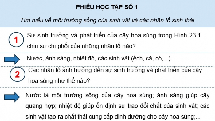 Giáo án điện tử Sinh học 12 kết nối Bài 23: Môi trường và các nhân tố sinh thái