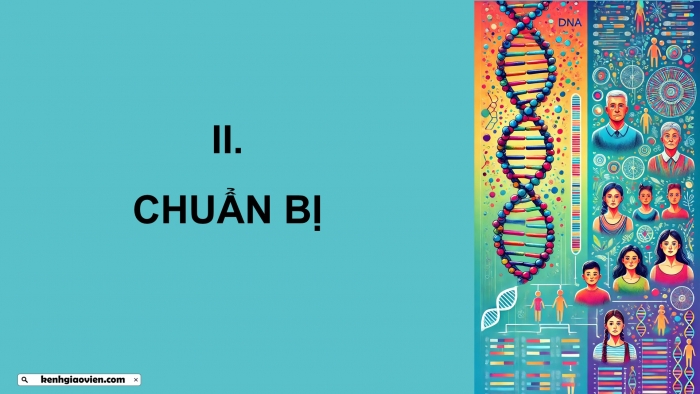 Giáo án điện tử Sinh học 12 kết nối Bài 25: Thực hành Xác định một số đặc trưng của quần thể