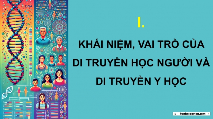 Giáo án điện tử Sinh học 12 chân trời Bài 14: Di truyền học người