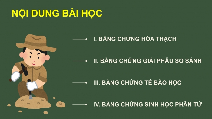 Giáo án điện tử Sinh học 12 chân trời Bài 15: Các bằng chứng tiến hoá