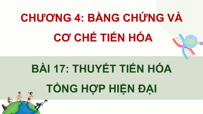 Giáo án điện tử Sinh học 12 chân trời Bài 17: Thuyết tiến hoá tổng hợp hiện đại