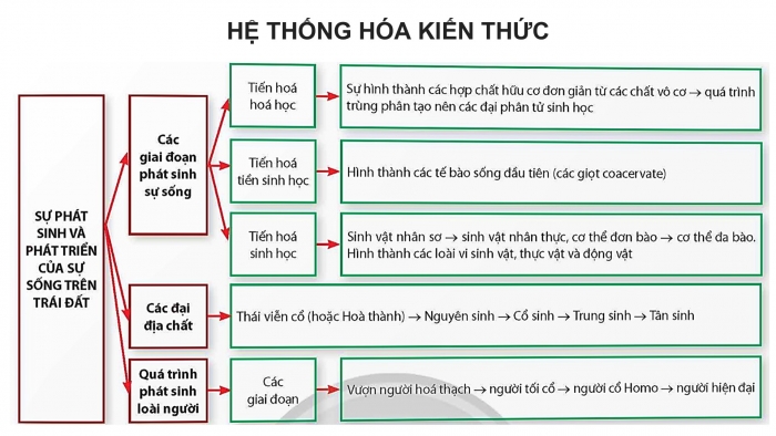 Giáo án điện tử Sinh học 12 chân trời Bài Ôn tập Chương 5