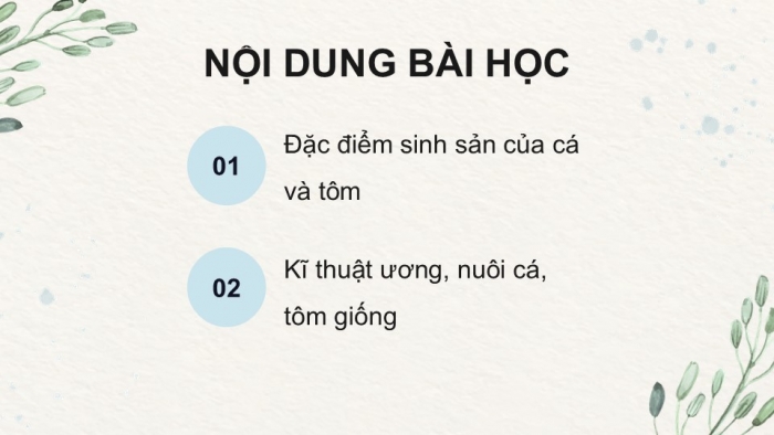 Giáo án điện tử Công nghệ 12 Lâm nghiệp Thủy sản Cánh diều Bài 15: Đặc điểm sinh sản và kĩ thuật ương cá, tôm giống