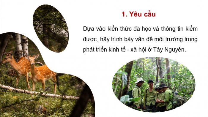 Giáo án điện tử Địa lí 9 chân trời Bài 18: Thực hành Vấn đề môi trường trong phát triển kinh tế - xã hội ở Tây Nguyên