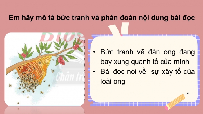 Giáo án điện tử Tiếng Việt 2 chân trời Bài 2: Đọc Ong xây tổ, Nghe – viết Ong xây tổ, Phân biệt ua/uơ, r/d/gi, ên/ênh