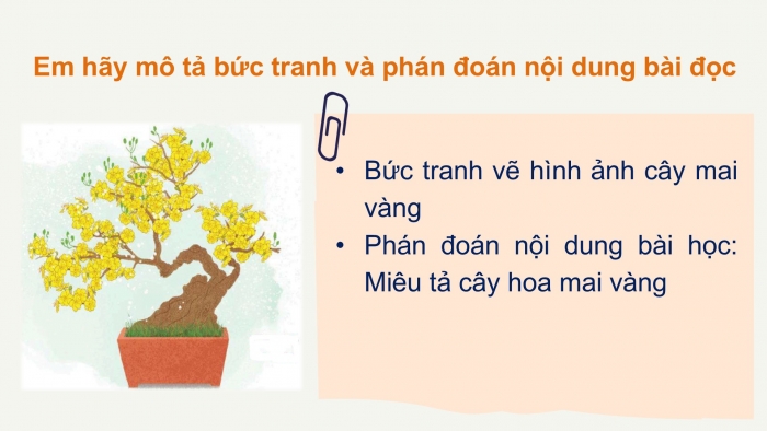 Giáo án điện tử Tiếng Việt 2 chân trời Bài 4: Đọc Hoa mai vàng, Nghe – viết Hoa mai vàng, Phân biệt ao/oa, ch/tr, ich/it