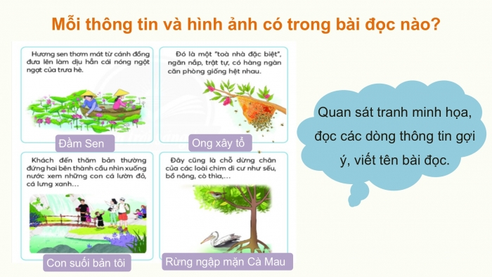 Giáo án điện tử Tiếng Việt 2 chân trời Ôn tập giữa học kì II - Ôn tập 2 (Tiết 1)