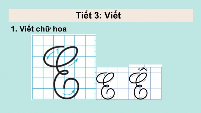 Giáo án điện tử tiếng Việt 2 kết nối Bài 13: Chữ hoa E Ê, Kể chuyện Bữa ăn trưa