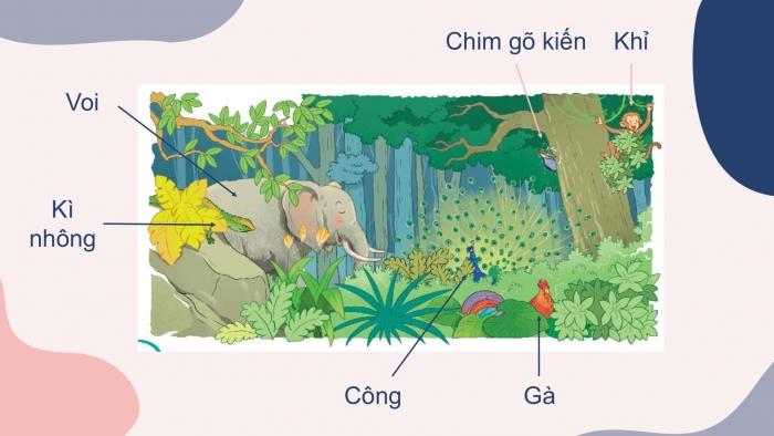 Giáo án điện tử Tiếng Việt 2 kết nối Bài 10: Mở rộng vốn từ về muông thú; Dấu chấm, dấu chấm hỏi, dấu chấm than