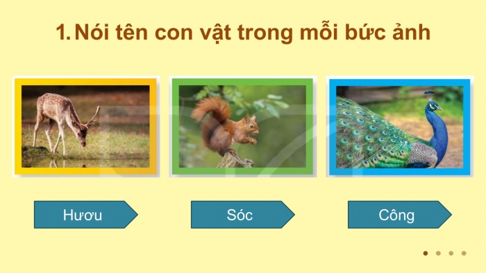 Giáo án điện tử Tiếng Việt 2 kết nối Bài 10: Viết đoạn văn giới thiệu tranh ảnh về một con vật, Đọc mở rộng