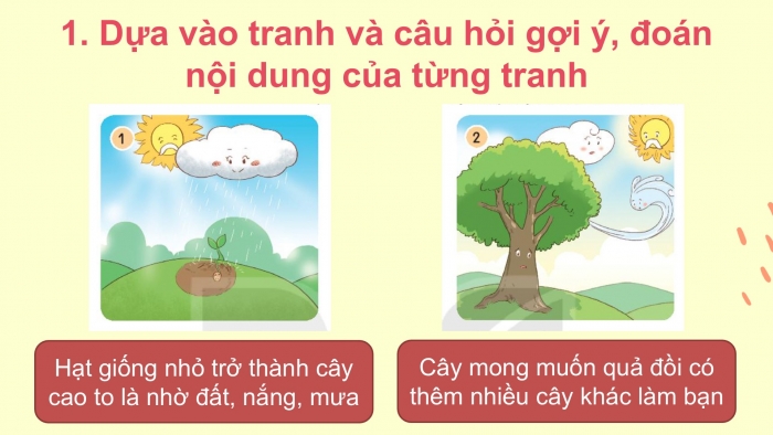 Giáo án điện tử Tiếng Việt 2 kết nối Bài 13: Kể chuyện Hạt giống nhỏ