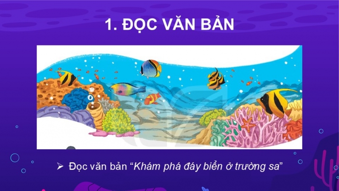 Giáo án điện tử Tiếng Việt 2 kết nối Bài 28: Khám phá đáy biển ở Trường Sa