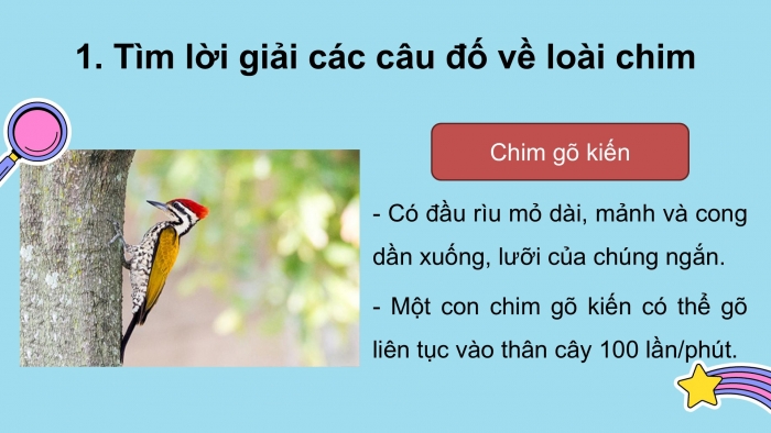 Giáo án điện tử Tiếng Việt 2 kết nối Ôn tập cuối học kì 2 (Tiết 5 + 6)