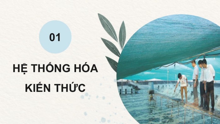 Giáo án điện tử chuyên đề Công nghệ 12 Lâm nghiệp Thuỷ sản Cánh diều Ôn tập CĐ 2