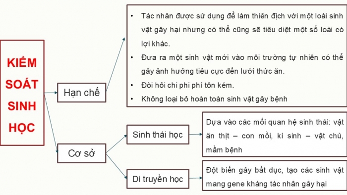 Giáo án điện tử chuyên đề Sinh học 12 chân trời Ôn tập CĐ 2