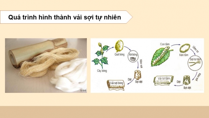 Giáo án điện tử Mĩ thuật 12 Thiết kế thời trang Kết nối Bài 2: Thiết kế trang phục từ vật liệu sẵn có