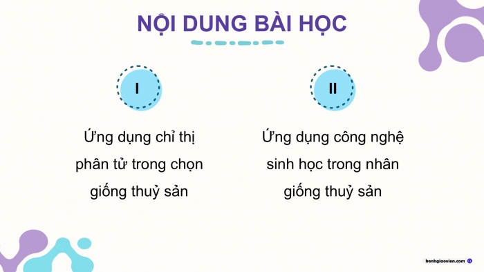 Giáo án điện tử Công nghệ 12 Lâm nghiệp - Thủy sản Kết nối Bài 15: Ứng dụng công nghệ sinh học trong chọn và nhân giống thủy sản