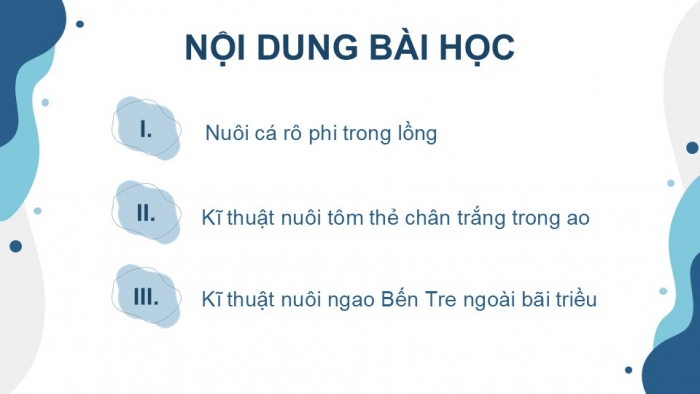 Giáo án điện tử Công nghệ 12 Lâm nghiệp - Thủy sản Kết nối Bài 19: Công nghệ nuôi một số loài thủy sản phổ biến ở Việt Nam