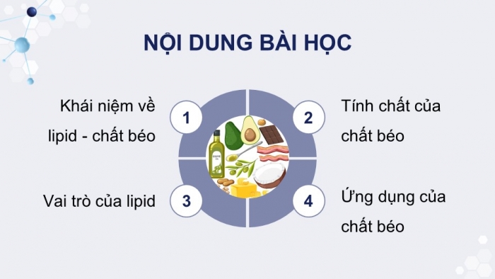 Giáo án điện tử KHTN 9 chân trời - Phân môn Hoá học Bài 26: Lipid và chất béo