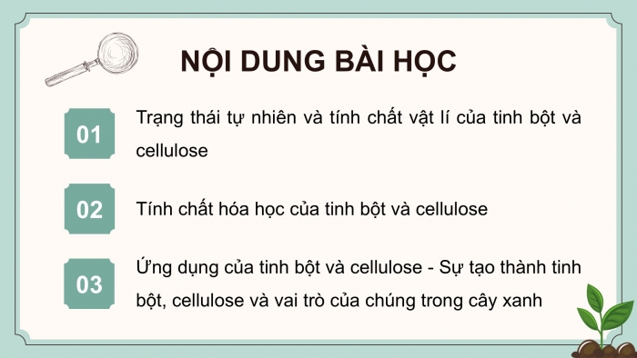 Giáo án điện tử KHTN 9 chân trời - Phân môn Hoá học Bài 28: Tinh bột và cellulose